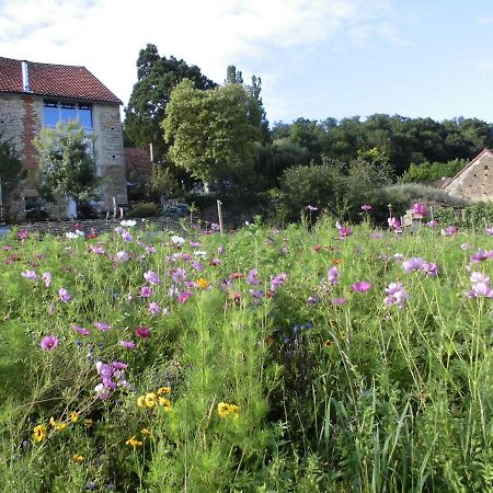 Vineyard Garden Studio Mont-Saint-Jean  Dış mekan fotoğraf