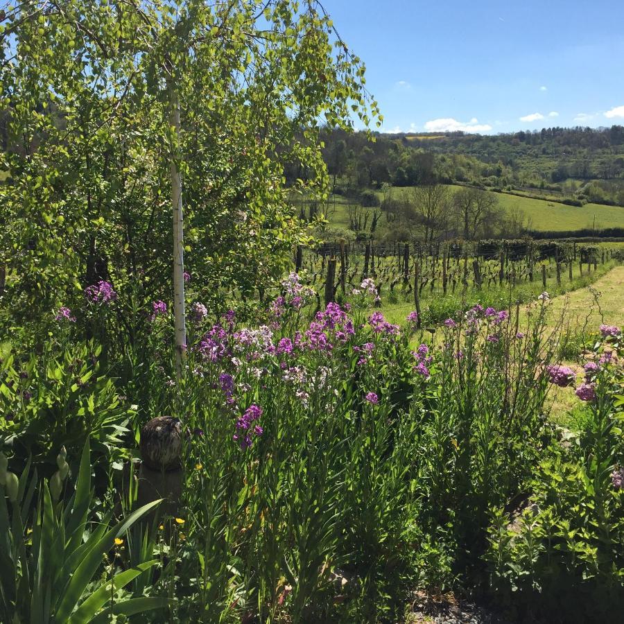 Vineyard Garden Studio Mont-Saint-Jean  Dış mekan fotoğraf