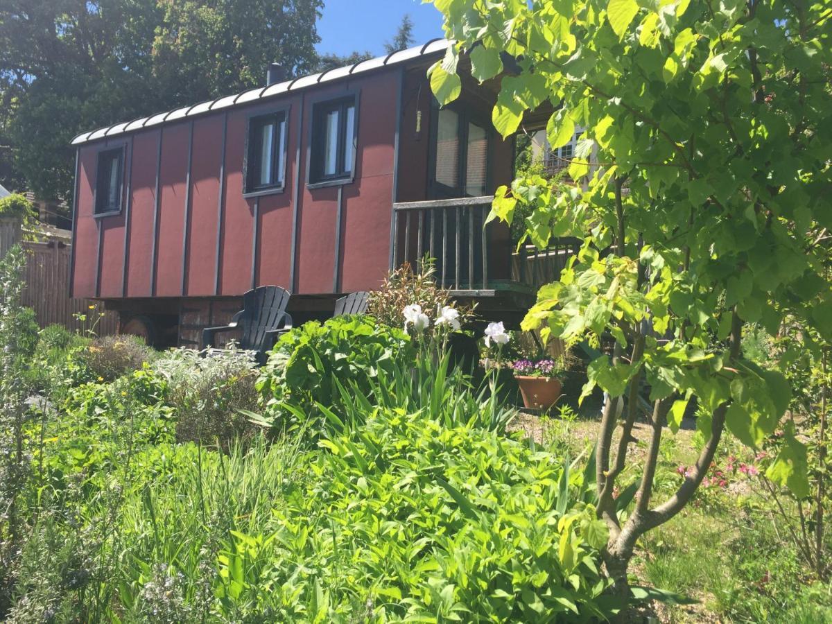Vineyard Garden Studio Mont-Saint-Jean  Dış mekan fotoğraf