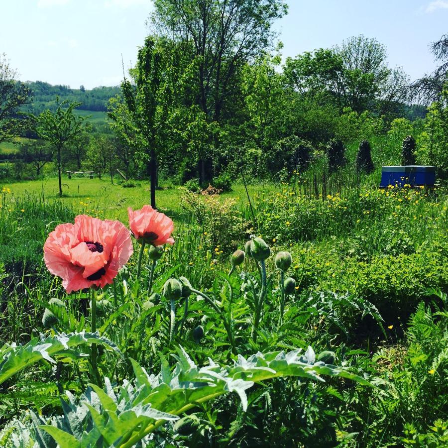 Vineyard Garden Studio Mont-Saint-Jean  Dış mekan fotoğraf